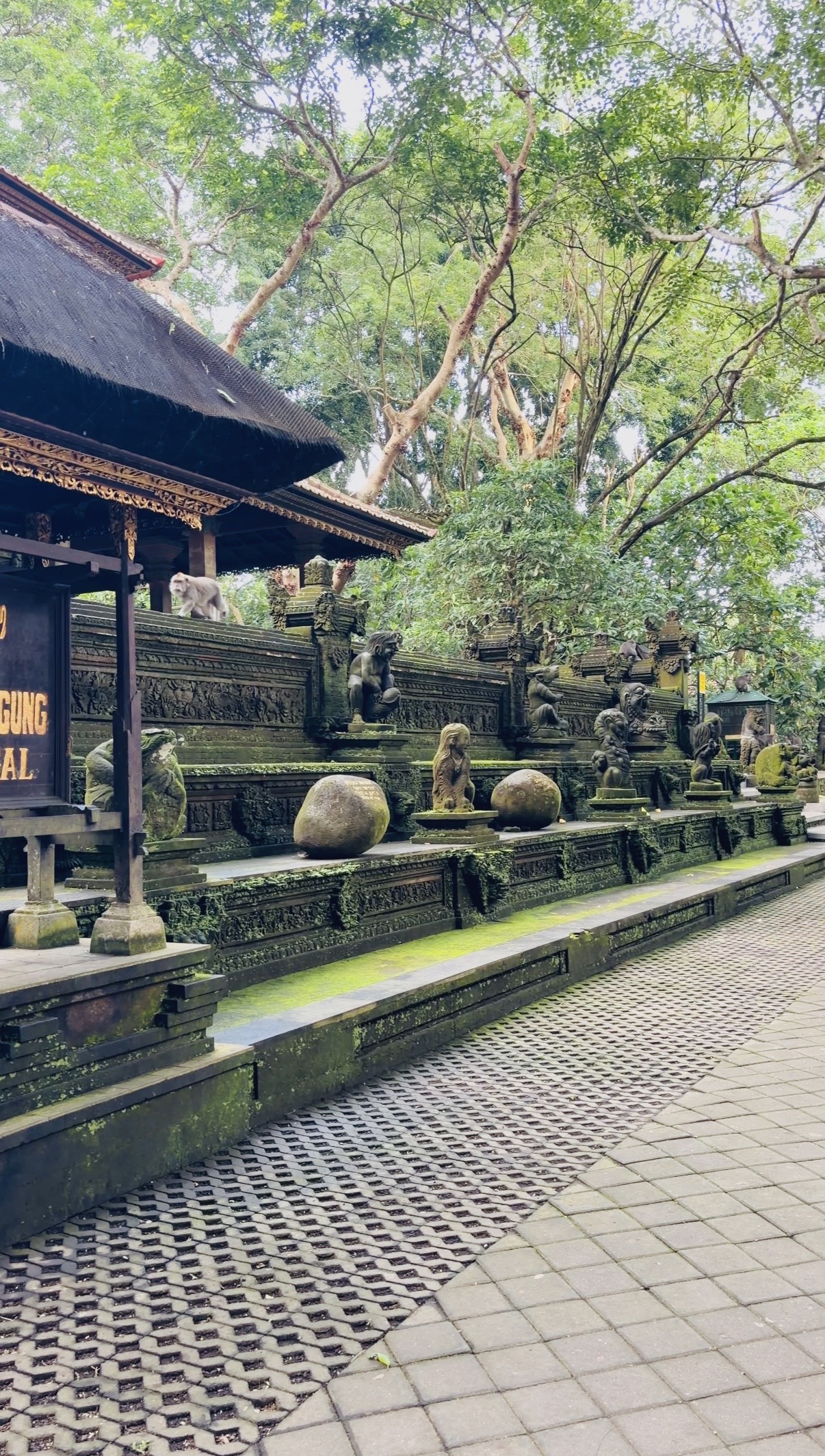 Sacred Monkey Forest